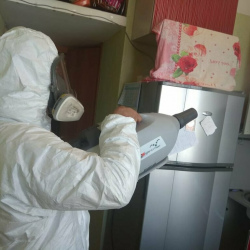 Уничтожение насекомых в квартире. поселок имени Цюрупы